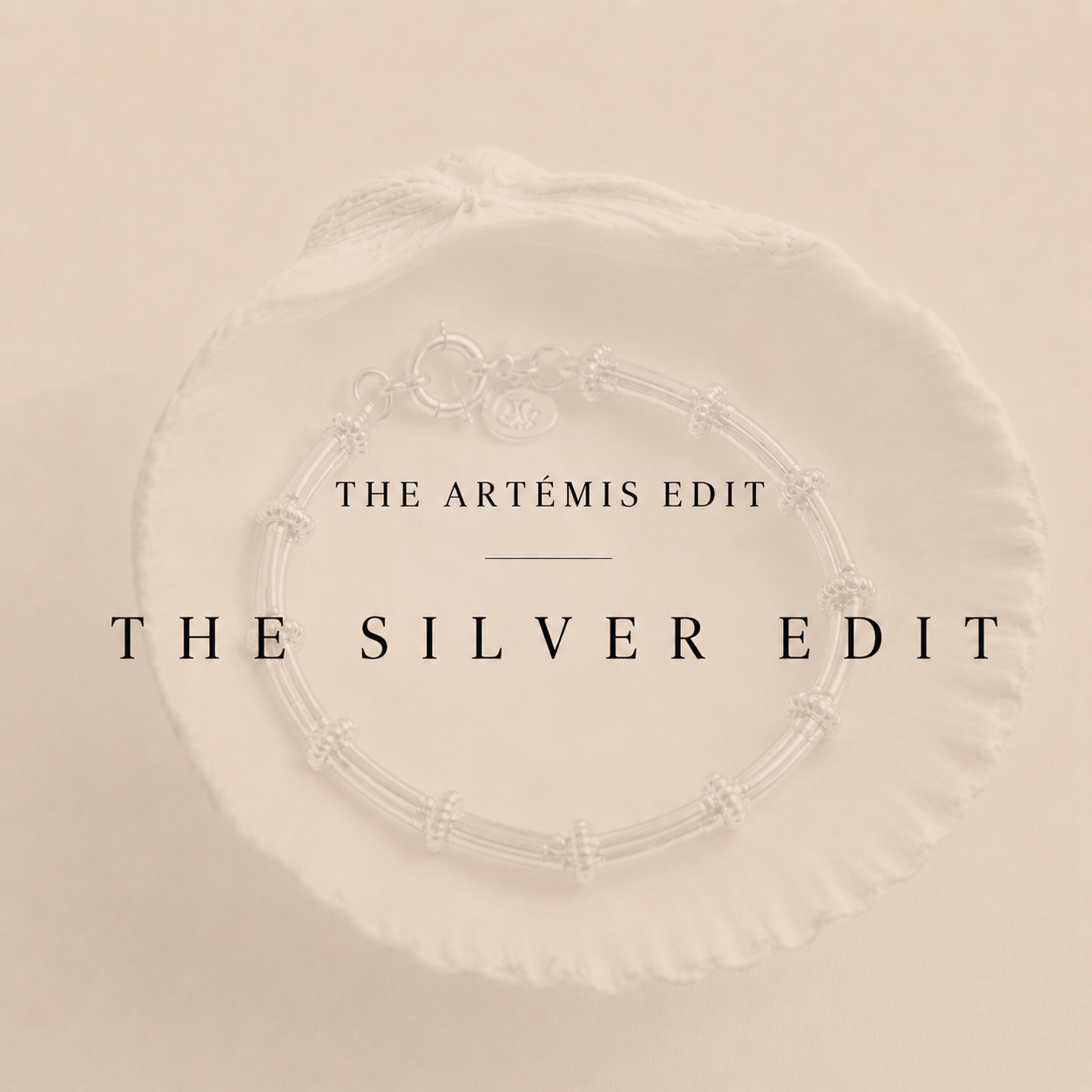 THE SILVER EDIT