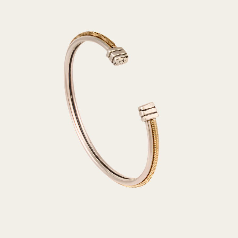 Silver and gold bangle on light background