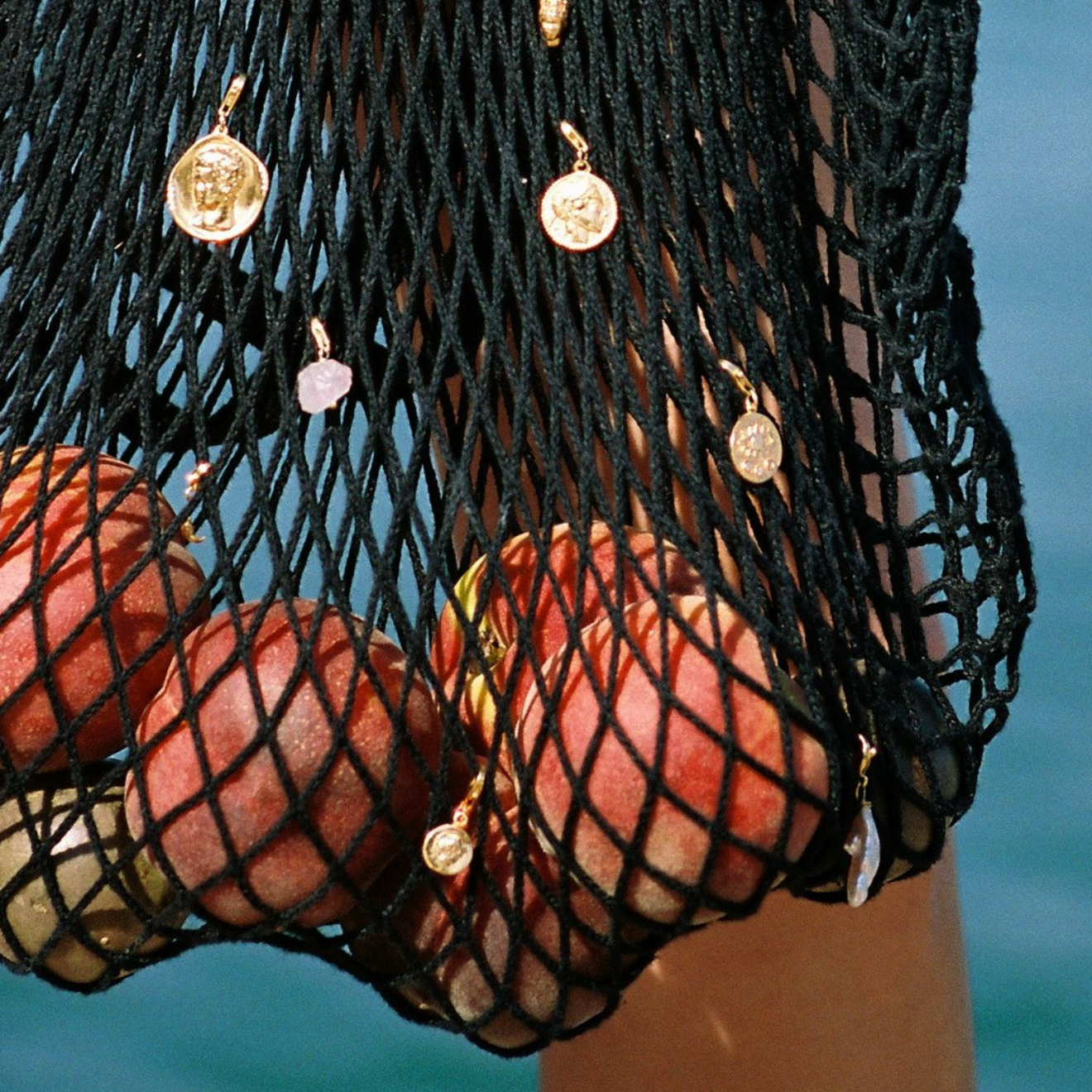 black net bag with fruit and sea background